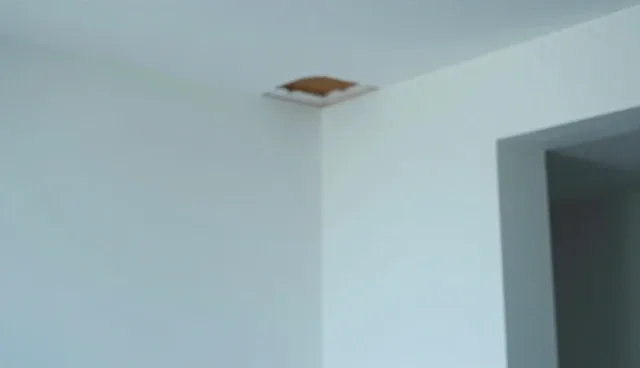 技术支持如何通过化方案提升多场景应用效率